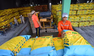 Theo các chuyên gia của Hiệp hội Phân bón Việt Nam, việc tăng 5% thuế giá trị gia tăng mặt hàng phân bón, sẽ giúp các phân bón sản xuất trong nước cạnh tranh tốt hơn với hàng nhập khẩu, giá phân bón sẽ giảm, có lợi cho sản xuất nông nghiệp.