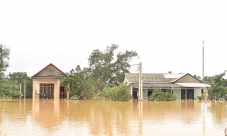 Đang ngập tứ bề, miền Trung lại sắp đón bão có cường độ kinh khủng?