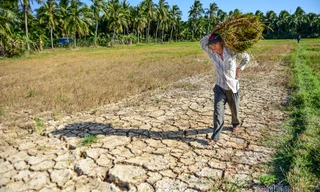 Nguồn nước mùa khô năm 2020-2021 về vùng Đồng bằng sông Cửu Long (ĐBSCL) thấp hơn so với trung bình 10 năm gần đây.