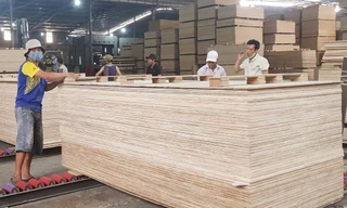 Việt Nam đang tập trung ngăn chặn, xử lý nghiêm những hành vi gian lận xuất xứ từ Việt Nam để xuất khẩu sang Mỹ.