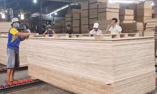 Việt Nam đang tập trung ngăn chặn, xử lý nghiêm những hành vi gian lận xuất xứ từ Việt Nam để xuất khẩu sang Mỹ.