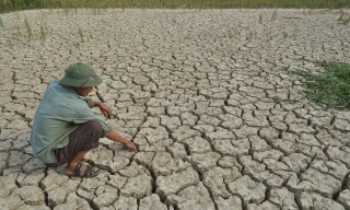 Hạn hán, xâm mặn xảy ra ở nhiều địa phương trên cả nước