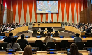 Cuộc họp của ECOSOC ngày 9/4. (Ảnh: Mofa)