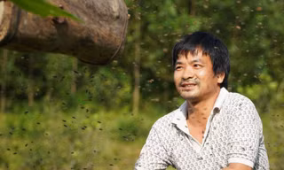 Tuyệt chiêu chàng thợ săn 'dụ' ong rừng về nhà nuôi lấy mật