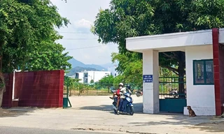 Kỷ luật cảnh cáo Giám đốc Trung tâm Huấn luyện kỹ thuật thể thao Khánh Hòa