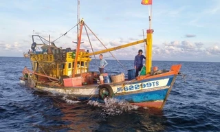 Cà Mau báo cáo Bộ Công an, Bộ Quốc phòng tình hình tranh chấp ngư trường trên biển