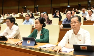 Quốc hội đồng ý cho Đà Nẵng lập khu thương mại tự do