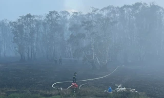 Công an vào cuộc điều tra nguyên nhân cháy Vườn Quốc gia Tràm Chim