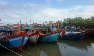 TPHCM cho phép tàu thuyền ra khơi sau bão Tembin