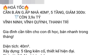 Môi giới vẫn miệt mài rao bán nhà đất ngày cuối năm