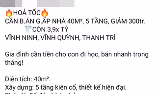 Môi giới vẫn miệt mài rao bán nhà đất ngày cuối năm