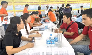 Ngành nghề, lĩnh vực nào đang tuyển nhiều lao động nhất?