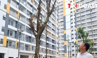 Đề xuất không thu quá 95% giá nhà ở xã hội trước khi cấp sổ đỏ