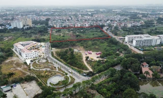 Danh tính DN chi hơn 1.800 tỷ trúng đấu giá khu đất 4,4ha làm nhà ở thấp tầng