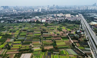 Gia hạn nộp tiền thuê đất năm 2025