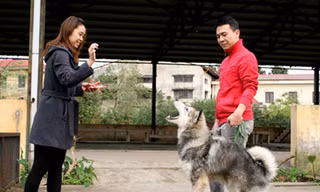 Thiếu gia chơi chó 'khủng'