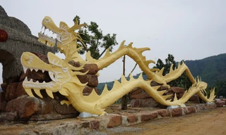 Linh vật rồng ăn kiêng, gầy gò nhưng có võ