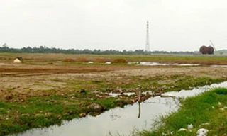 Vì sao UBND tỉnh Long An thua cả ba vụ kiện