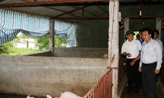 Không ai vừa sinh ra đã biết nói