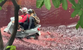 Dòng nước đỏ bất thường tràn ngập nhiều tuyến đường ở TPHCM