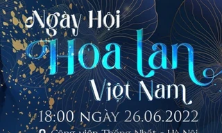 Hơn 3.000 cây lan đẹp, độc, lạ tranh sắc trong Ngày hội Hoa Lan Việt Nam đầu tiên 