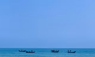 Mùa ốc gạo ở ven biển Quảng Ngãi kéo dài từ tháng Giêng đến hết tháng 3 Âm lịch. Ảnh: Nguyễn Ngọc