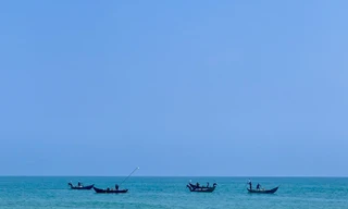 Mùa ốc gạo ở ven biển Quảng Ngãi kéo dài từ tháng Giêng đến hết tháng 3 Âm lịch. Ảnh: Nguyễn Ngọc