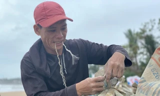 Người dân Quảng Ngãi hối hả ra biển lấy cát chống bão số 9
