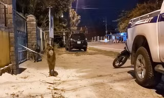 Xuyên đêm vây bắt tội phạm đặc biệt nguy hiểm ở rừng Hải Vân