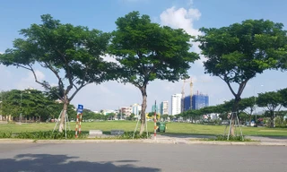 Đà Nẵng "quyết" hủy kết quả đấu giá khu đất ký hiệu A20, do doanh nghiệp chậm nộp tiền theo quy định.