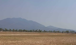 Dự án Khu phi thuế quan chấm dứt đàm phán 