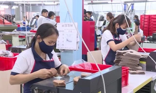 Do hụt thu ngân sách trong 2 năm liên tiếp (2019- 2020) quá lớn dẫn tới tỉnh Quảng Ngãi không còn khả năng cân đối thu chi trong năm 2020.