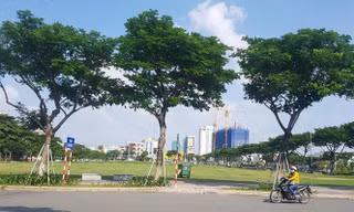 Khu đất A20 đường Võ Văn Kiệt liên quan đến việc Vipico kiện UBND TP Đà Nẵng