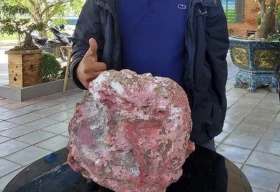 Lặn ngắm san hô, liên tiếp phát hiện đá nghi 'long diên hương' tiền tỉ