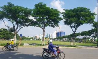 Khu đất A20, Đà Nẵng vừa hủy kết quả đấu giá đối với cty CP Vipico. 