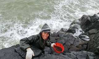  Người dân Quảng Ngãi đội sóng đi hái “lộc biển” trong những ngày cuối năm. Ảnh: Nguyễn Ngọc