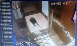 Sở TT&TT Đà Nẵng 'chưa có thông tin xác thực' vụ bé gái bị sàm sỡ