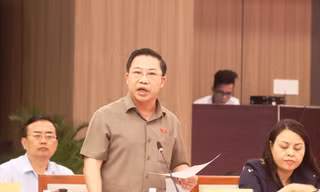 Ông Lưu Bình Nhưỡng phát biểu tại phiên họp. Ảnh: Nguyễn Thành