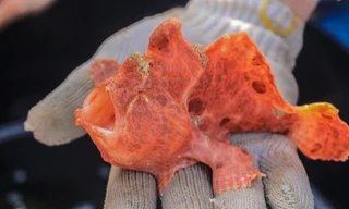 Ảnh: Nguyễn Ngọc