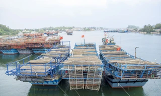 Tàu câu mực của ngư dân xã Bình Chánh, huyện Bình Sơn, tỉnh Quảng Ngãi. (Ảnh minh họa)