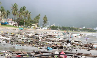 Bãi biển Đà Nẵng ngập rác sau bão