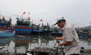 Ngư dân Đà Nẵng neo đậu tàu thuyền tại âu thuyền Thọ Quang. 