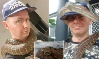 Anh Johnny Walker bên 2 con trăn "cưng".