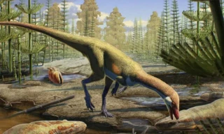 Ahvaytum bahndooiveche có kích thước chỉ bằng con gà. Ảnh: Gabriel Ugueto