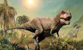 Nghiên cứu mới phát hiện sự thật bất ngờ về khủng long bạo chúa