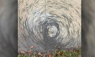 Vong xoáy giun kỳ lạ.