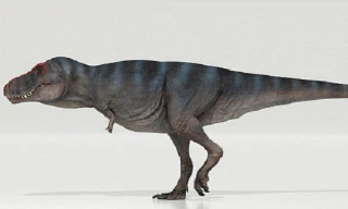 Khủng long bạo chúa T-Rex được cho là đi chậm hơn con người