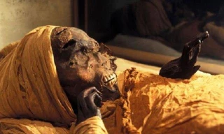Giải mã gương mặt vặn vẹo, méo mó đáng sợ của pharaoh Ai Cập khiến giới khảo cổ sửng sốt