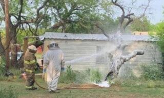 Nhân viên cứu hỏa tại ngôi nhà xảy ra vụ ong đốt chết người ở Breckenridge, Texas. 