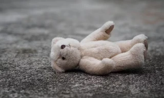 Gấu bông có thể bẩn hơn bệ toilet.